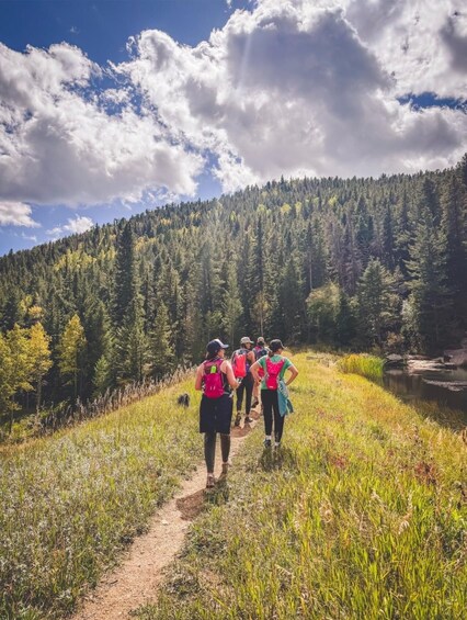 A group of hikers on a forest trail with a mountain in the background. 1