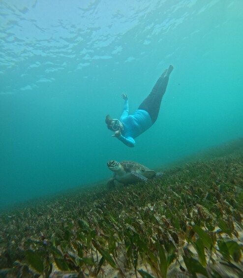 A diver underwater with a sea turtle. 2