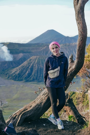 A person standing on a tree branch with a mountainous landscape in the background. 1