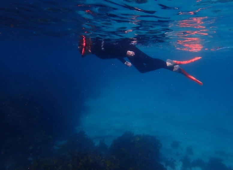 A person scuba diving underwater. 4