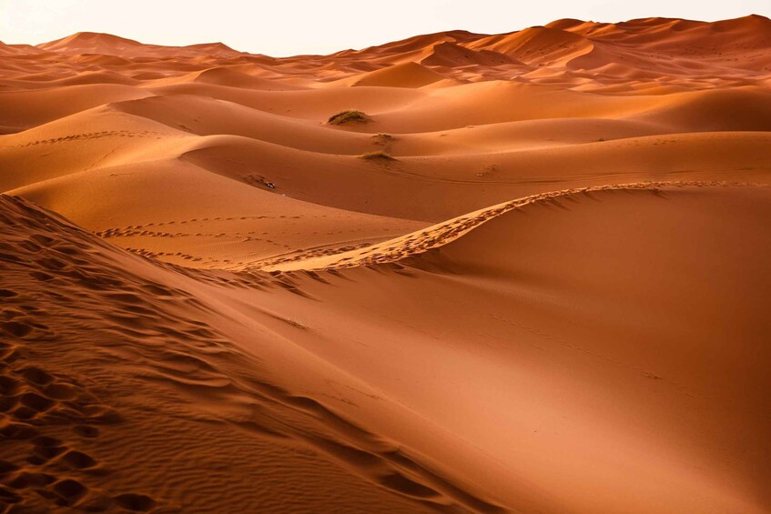 A desert landscape with undulating sand dunes and a clear sky. 2