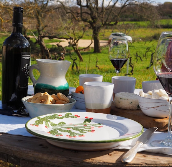 A picnic setup with a bottle of wine, cheese, bread, and a glass of red wine on a table in a vineyard. 2