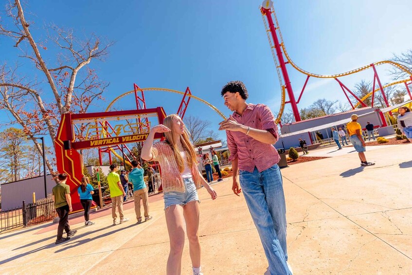 A theme park with roller coasters and a vertical drop ride. 3