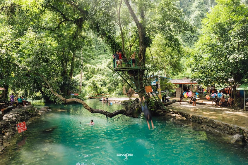 A natural pool surrounded by lush greenery, with people swimming and a treehouse platform. 4