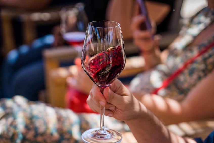A person holding a wine glass with red wine. 3