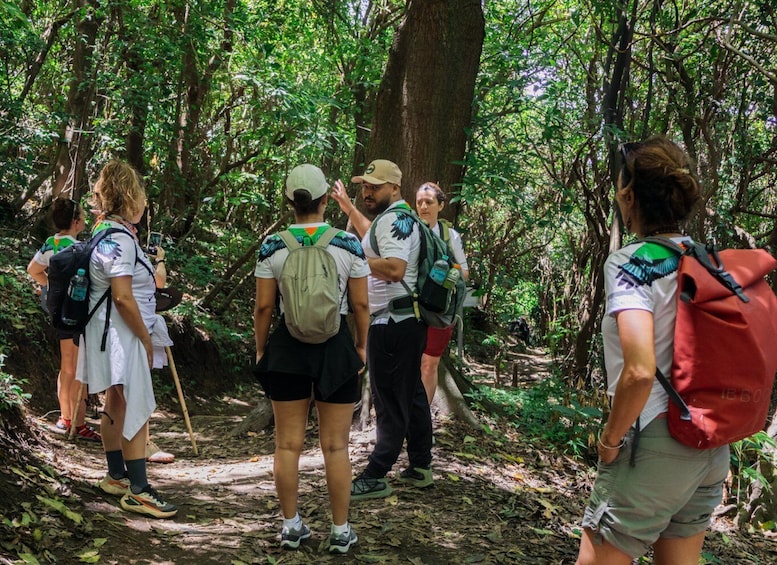 A group of hikers on a forest trail. 4