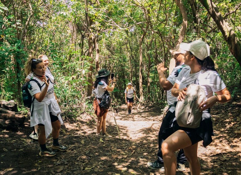 A group of people hiking in a forested area with dense greenery and trees. 3