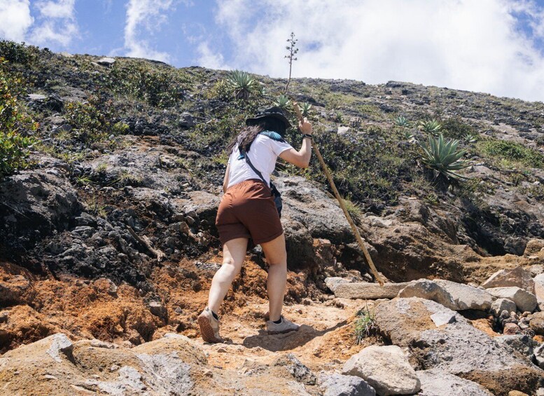 A person hiking on a rocky terrain with sparse vegetation. 5