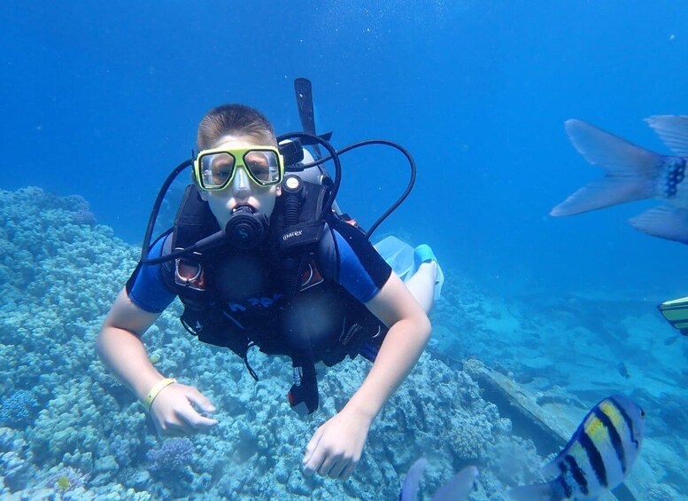 A person scuba diving underwater with coral reefs and fish. 1