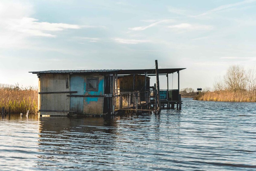 A dilapidated wooden structure partially submerged in water, surrounded by tall reeds and a clear sky. 4