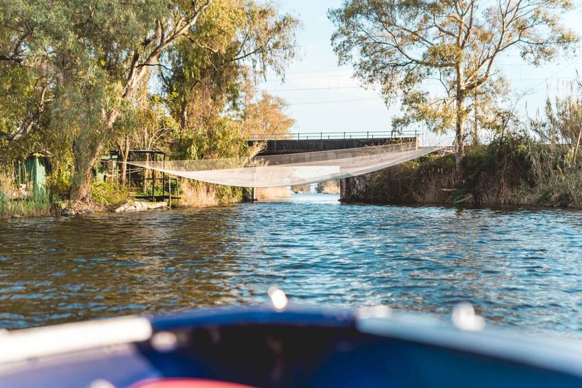 A river with a bridge, trees, and a boat. 3