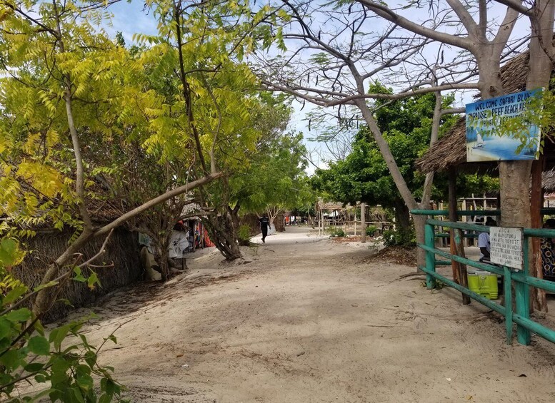 A dirt road flanked by trees and a signboard. 5