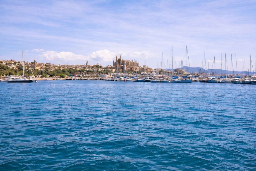 A coastal town with a historic church, a marina with sailboats, and a hilly landscape in the background. 5