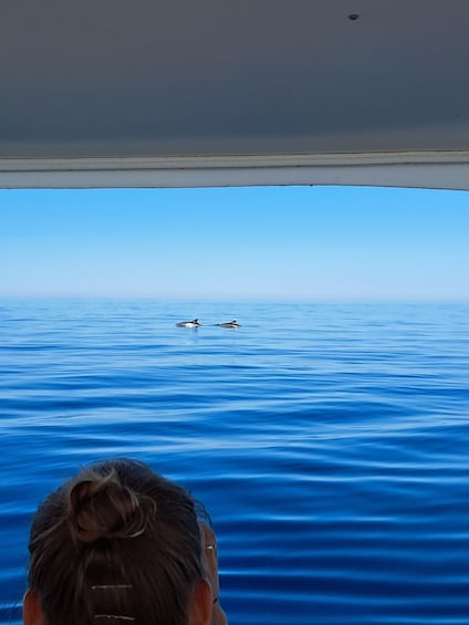 A person with a bun hairstyle looking out at the ocean. 3