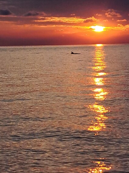 A sunset over a calm sea with a bird flying near the horizon. 1
