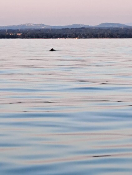 A calm body of water with a distant shoreline and mountains. 5