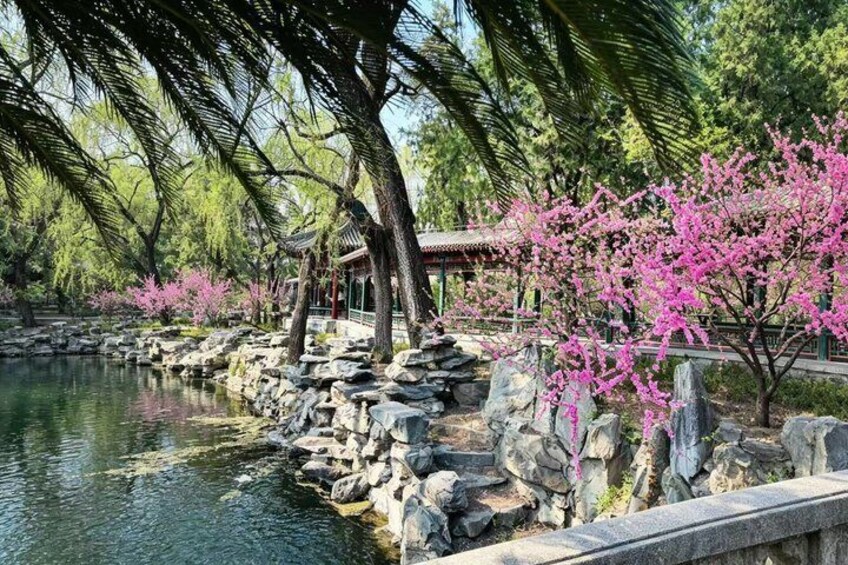 A serene garden with a pond, pink flowering trees, and a traditional building. 3
