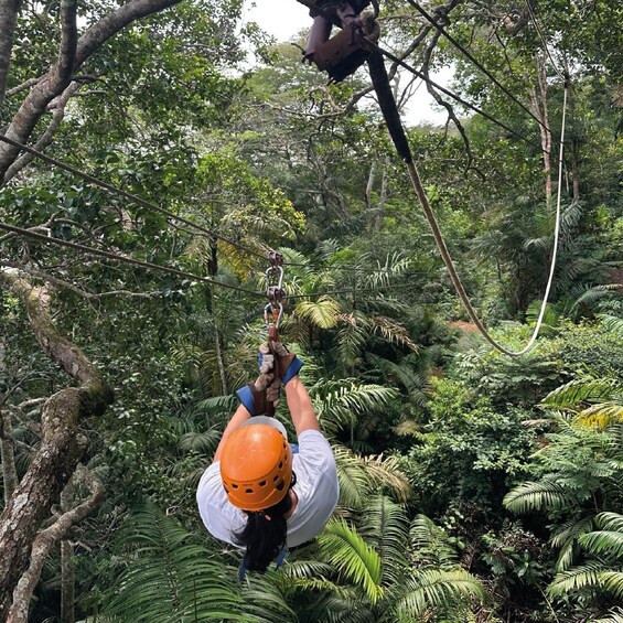A person zip-lining through a dense forest with lush green foliage. 5