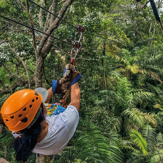 A person rappelling down a rope in a dense forest. 1