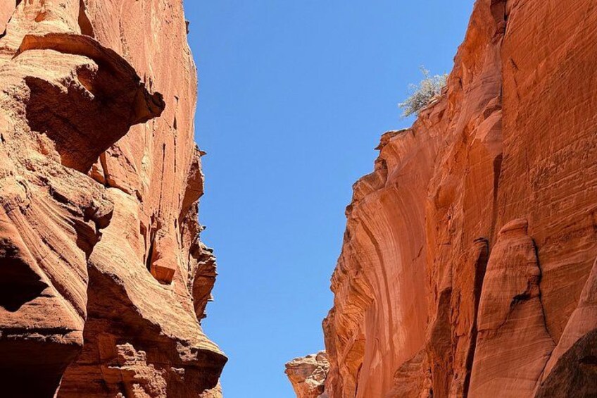 A canyon with red rock formations and a clear blue sky. 2