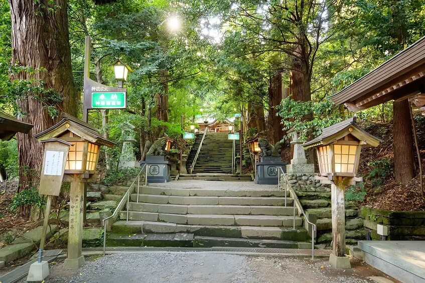 A forested area with stone steps leading up to a temple entrance, surrounded by trees and traditional lanterns. 4