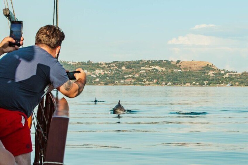 A person taking a photo of a dolphin in the water with a smartphone. 5