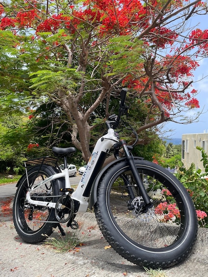 A white electric bicycle parked on a stone surface with a tree in the background. 1