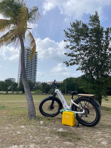 A white electric bicycle with a yellow storage box labeled 'IGLOO' parked on grass near a palm tree and a tree with dense foliage. 5