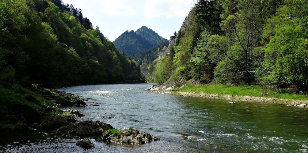 A river flowing through a forested valley with a mountain in the background. 1