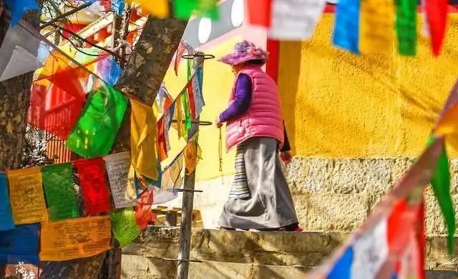 A person in a pink vest and purple hat standing next to a tree with colorful prayer flags. 4