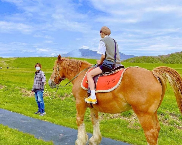 A person riding a horse on a paved path in a grassy field with a mountain in the background. 1
