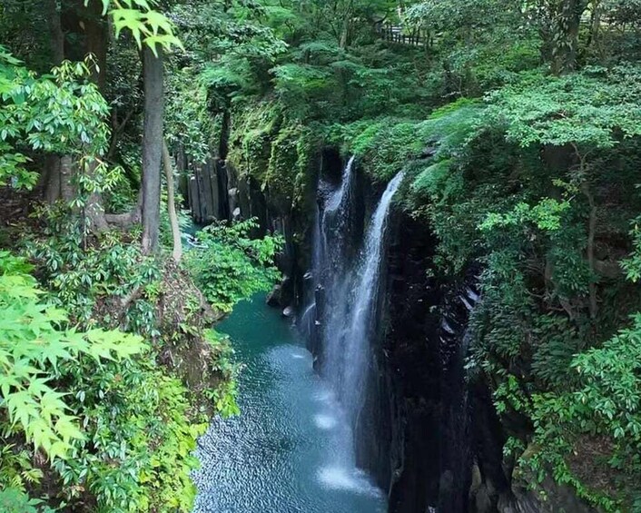 A waterfall surrounded by dense green foliage. 4