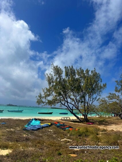 A beach with boats, a tree, and a clear sky. 5