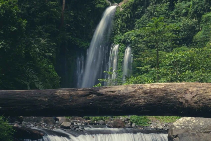 A waterfall cascading over rocks in a lush, green forest. 4