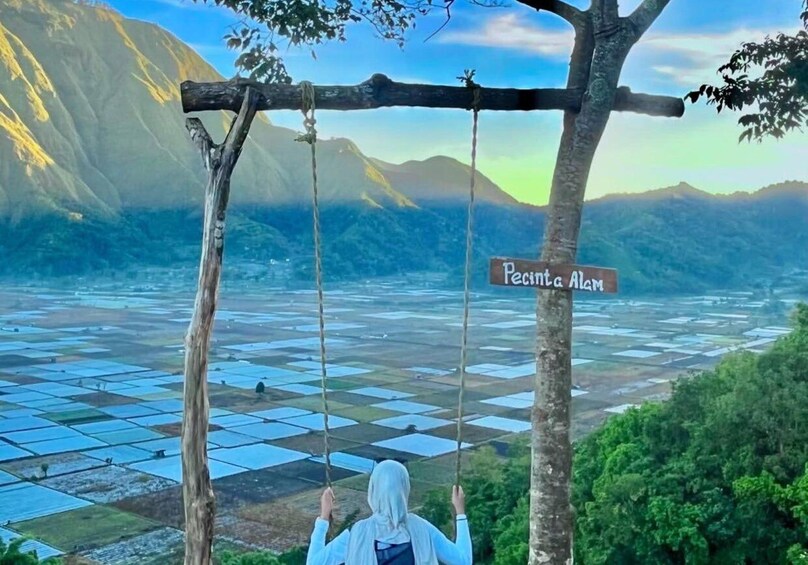 A person on a swing overlooking a terraced landscape with a sign reading 'Pecina Alm.' 3