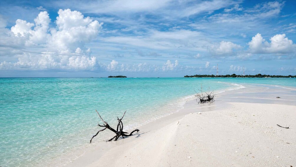 A beach with clear turquoise water, white sand, and a few scattered trees. 1