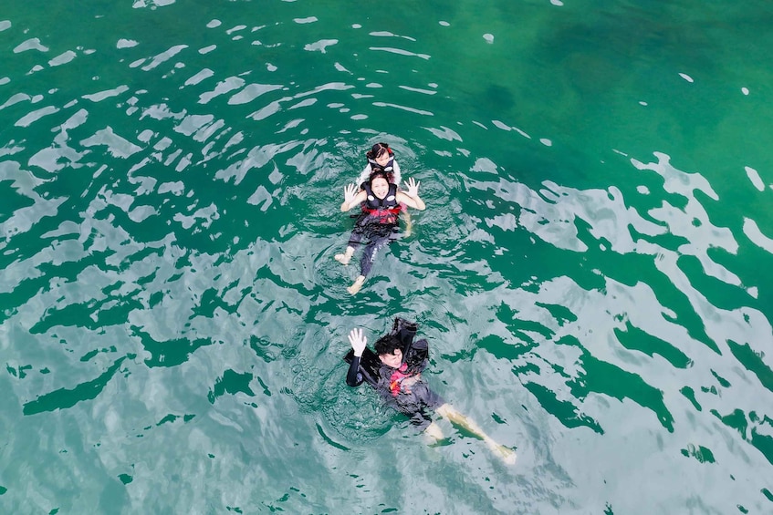 Two people swimming in a body of water with greenish hue. 2