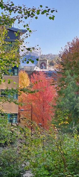 A building with a modern design, surrounded by trees with autumn foliage. 5