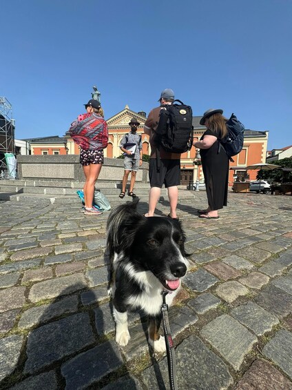 A black and white dog on a leash, people standing on a cobblestone street, and a building with classical architecture in the background. 2