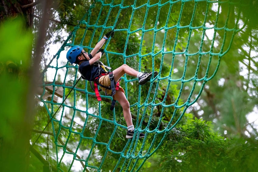 A person navigating a green rope net course in a forested area. 4