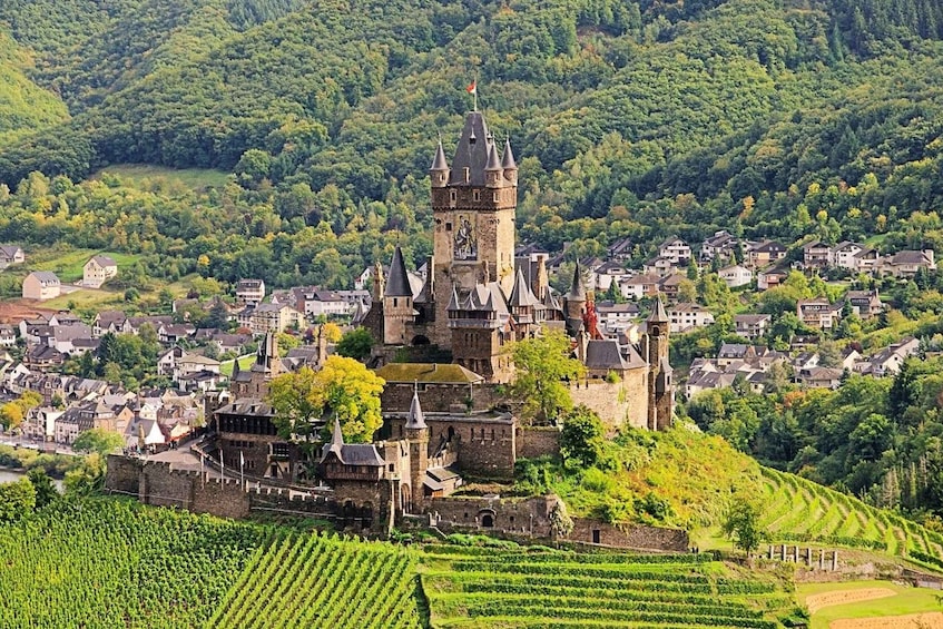 A medieval castle surrounded by a village and vineyards. 1