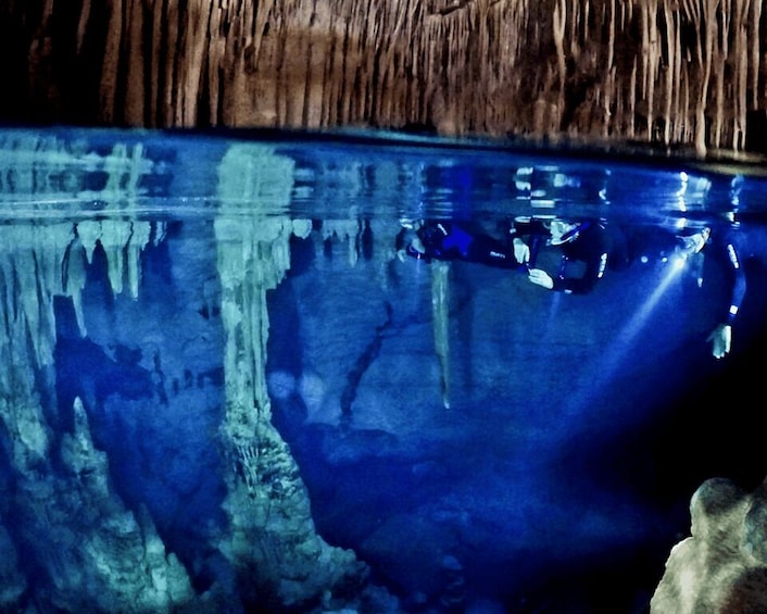 An aquarium with a large tank, clear water, and reflections of the tank's interior. 5