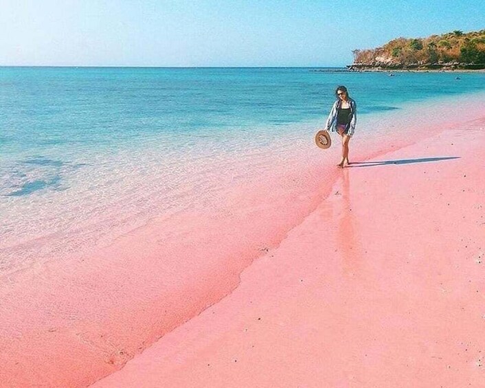 A beach with pink sand and clear blue water. 1