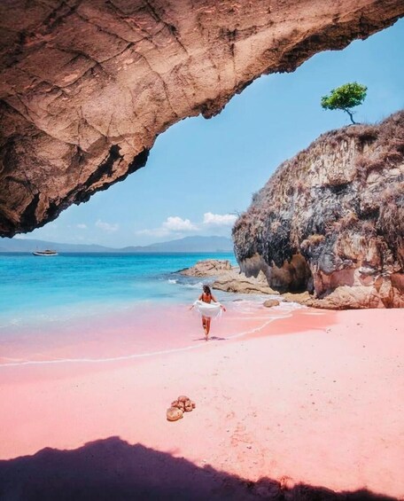 A beach with a large rock arch, clear blue water, and a single tree on a cliff. 3