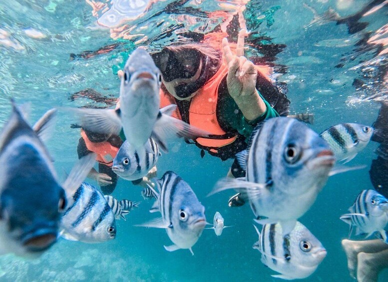 A person underwater surrounded by fish. 4
