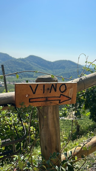 A wooden sign with the inscription 'VI-NO' and an arrow pointing to the right, set against a backdrop of mountains and greenery. 2