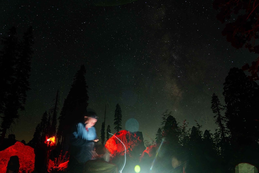 A night scene with a starry sky, trees, and a red light source. 1