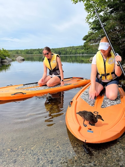 Two people kayaking on a calm lake with trees in the background. 5