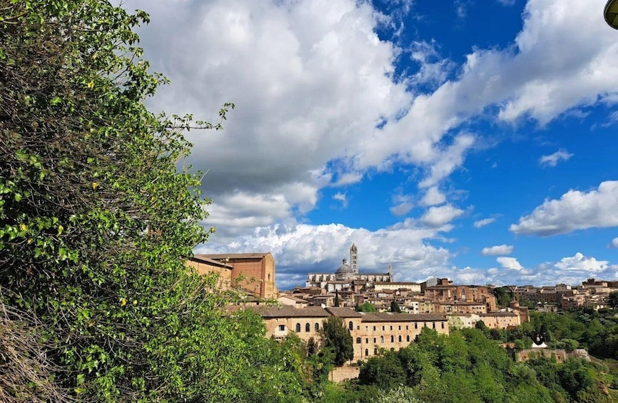A historic town with a prominent church and tower, surrounded by lush greenery and under a partly cloudy sky. 2