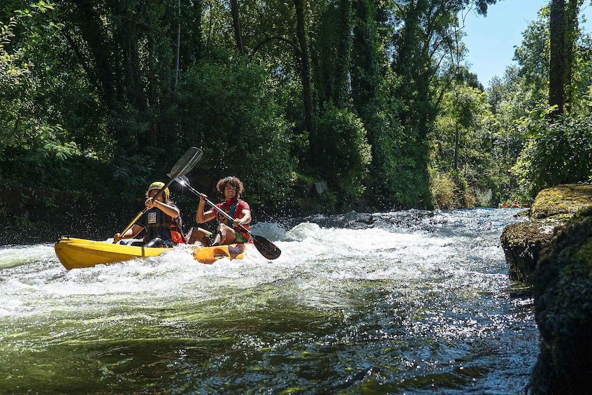 Zwei Personen paddeln mit ihren Kajaks auf einem Fluss, der von dichtem Wald gesäumt wird. 1
